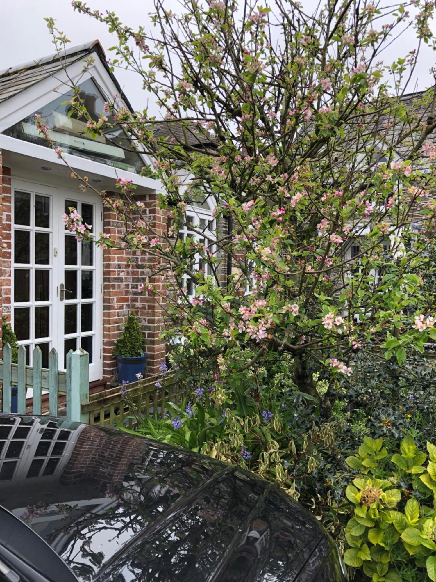 The Nook Apartamento Padstow